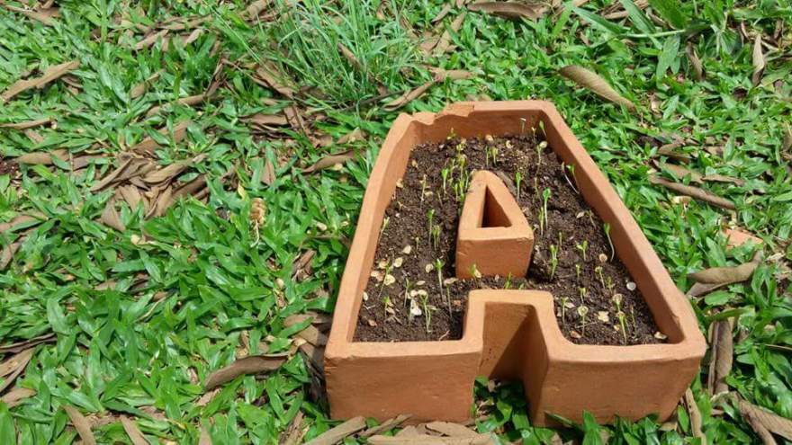 Marilá Dardot - A Origem da Obra de Arte, 2002. Inhotim