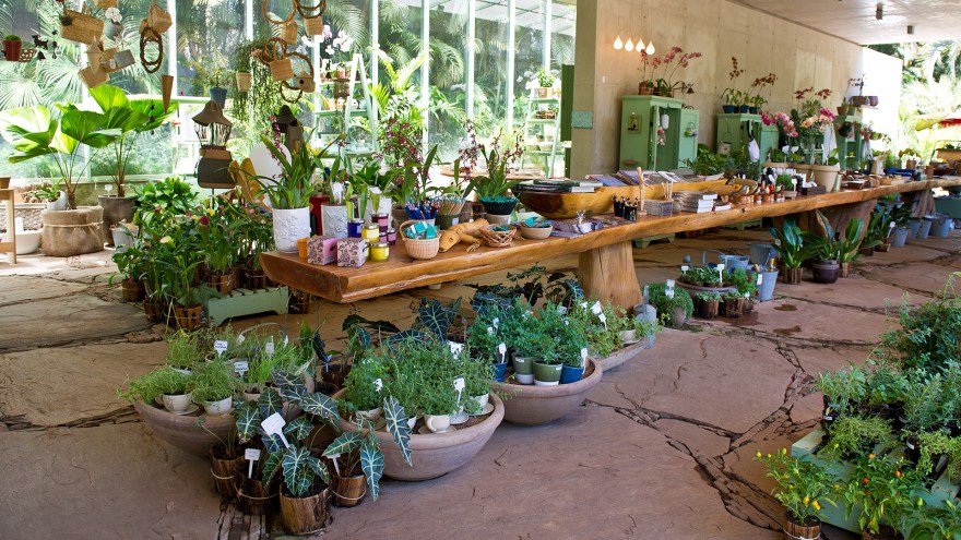 Loja Botânica - Inhotim