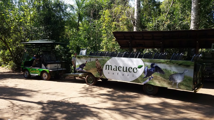 macuco-safari