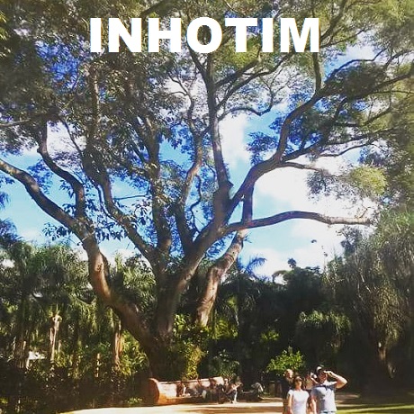 inhotim-minas-gerais