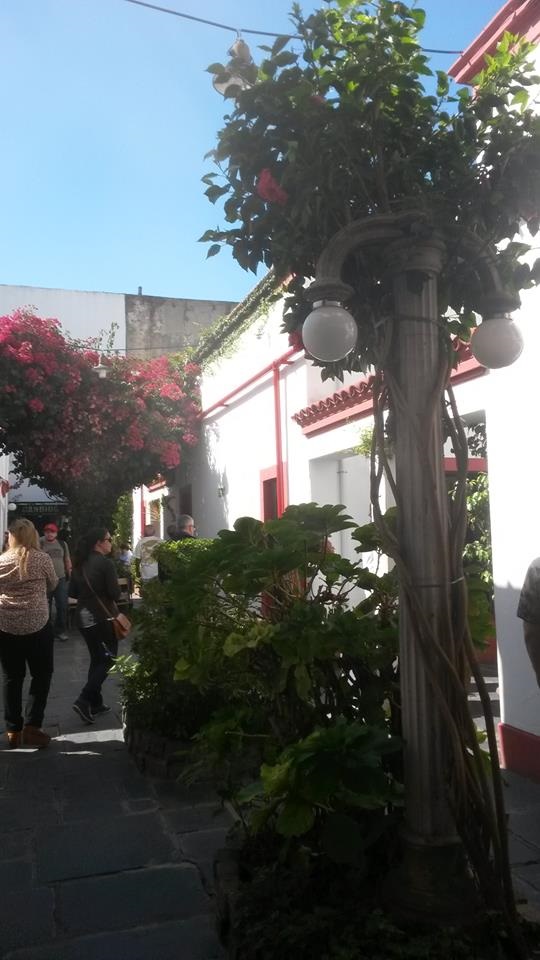 Vilazinha linda em San Telmo - Buenos Aires