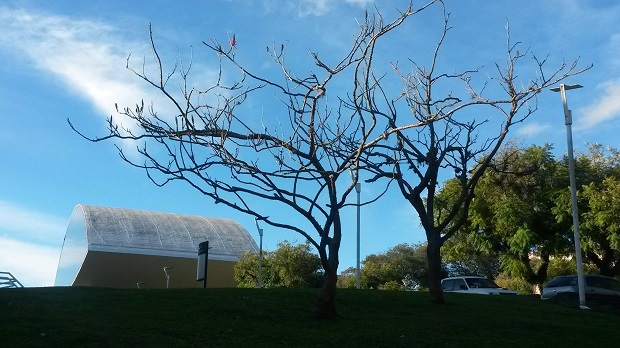 museu-niemeyer-curitiba